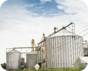 Granja de producción