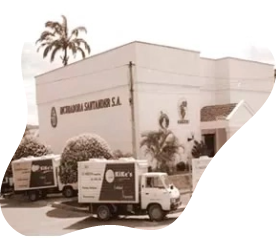 Nace una historia de éxito